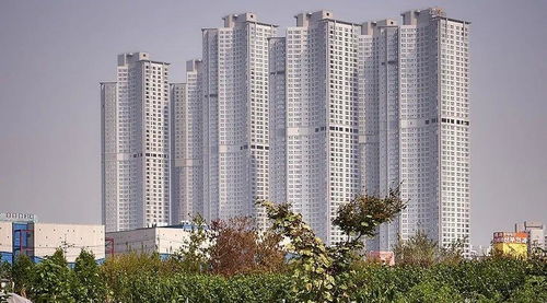 韩国汉城的房地产开发 如同地里庄稼一样疯长的房子